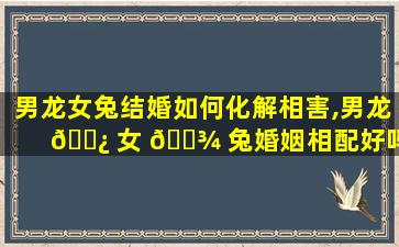 男龙女兔结婚如何化解相害,男龙 🌿 女 🌾 兔婚姻相配好吗 男龙女兔结婚好不好